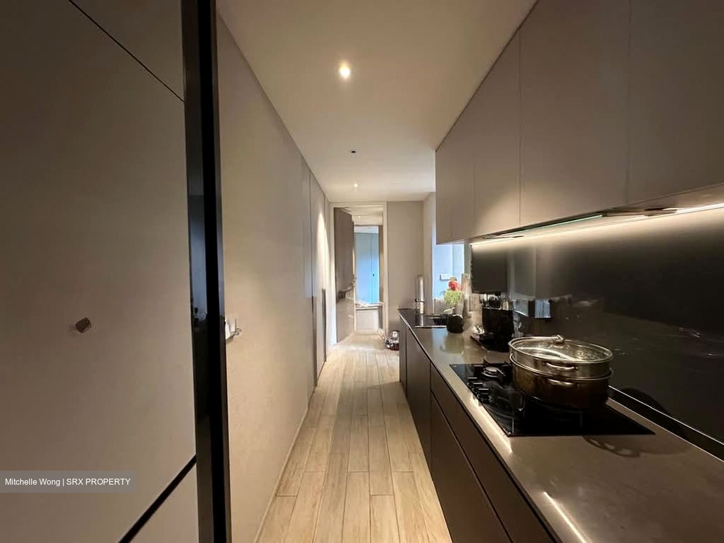 Amber Park (D15), Condominium #558276061